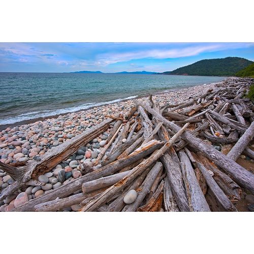 Canada-Ontario-Marathon Rocks and driftwood on Pebble Lake Superiors Beach